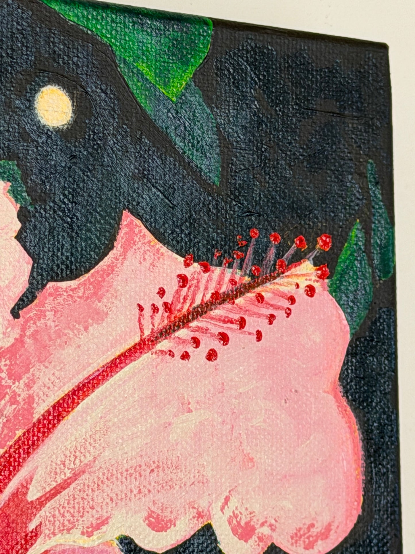 Hibiscus Under the Moonlight