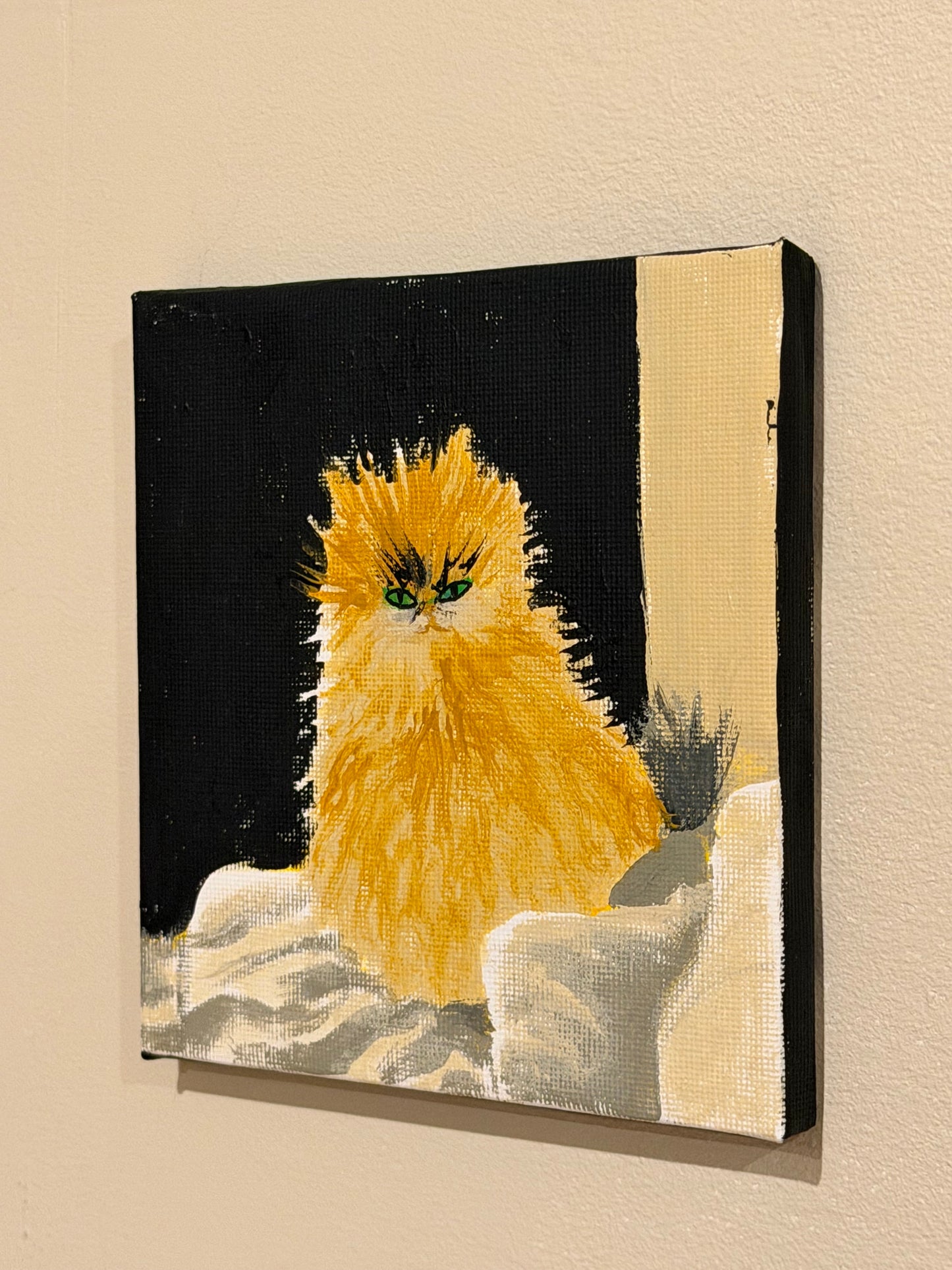 Whisp the Cat