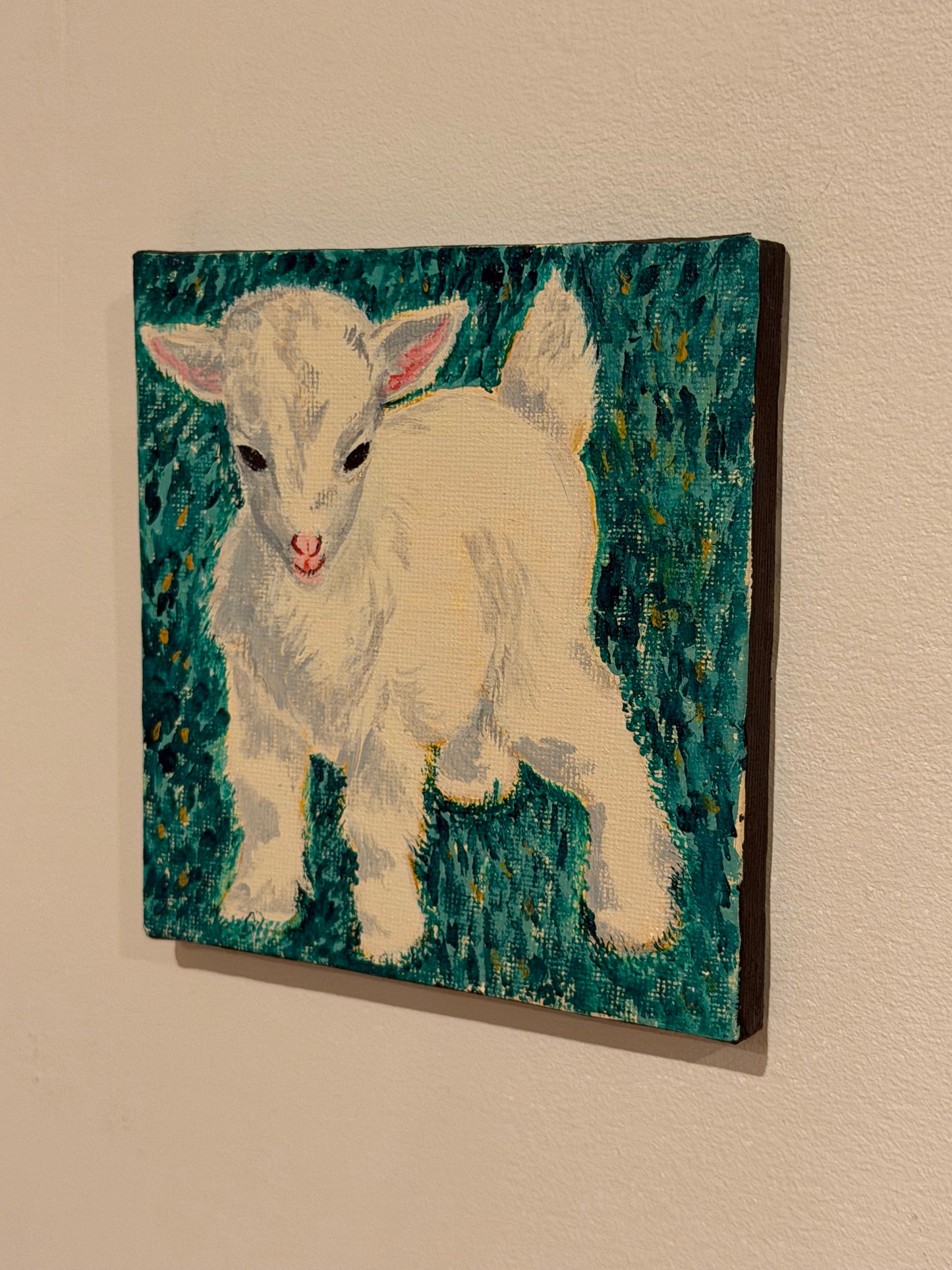 baby Goat 01
