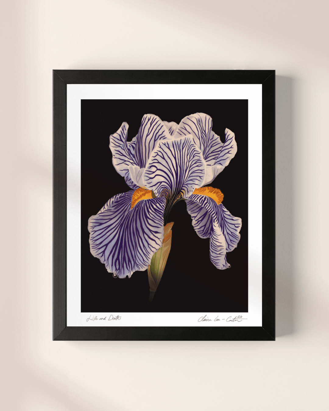 Framed artwork of a white iris flower on a beige wall.