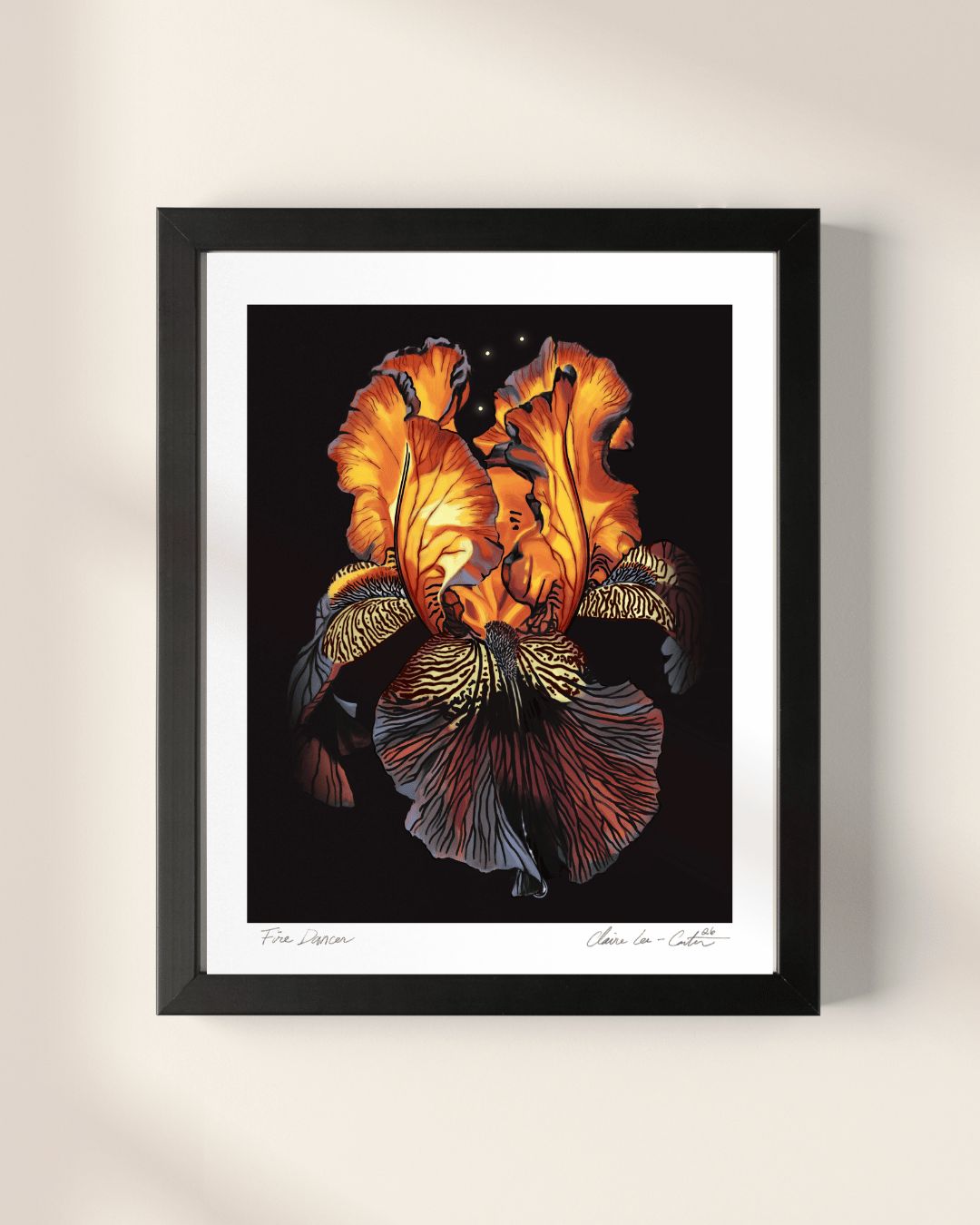 Fine Art Print Framed artwork of a red orange and purple iris flower, that looks like it's glowing from within, on a black background with a white boarder hung on a beige wall. 