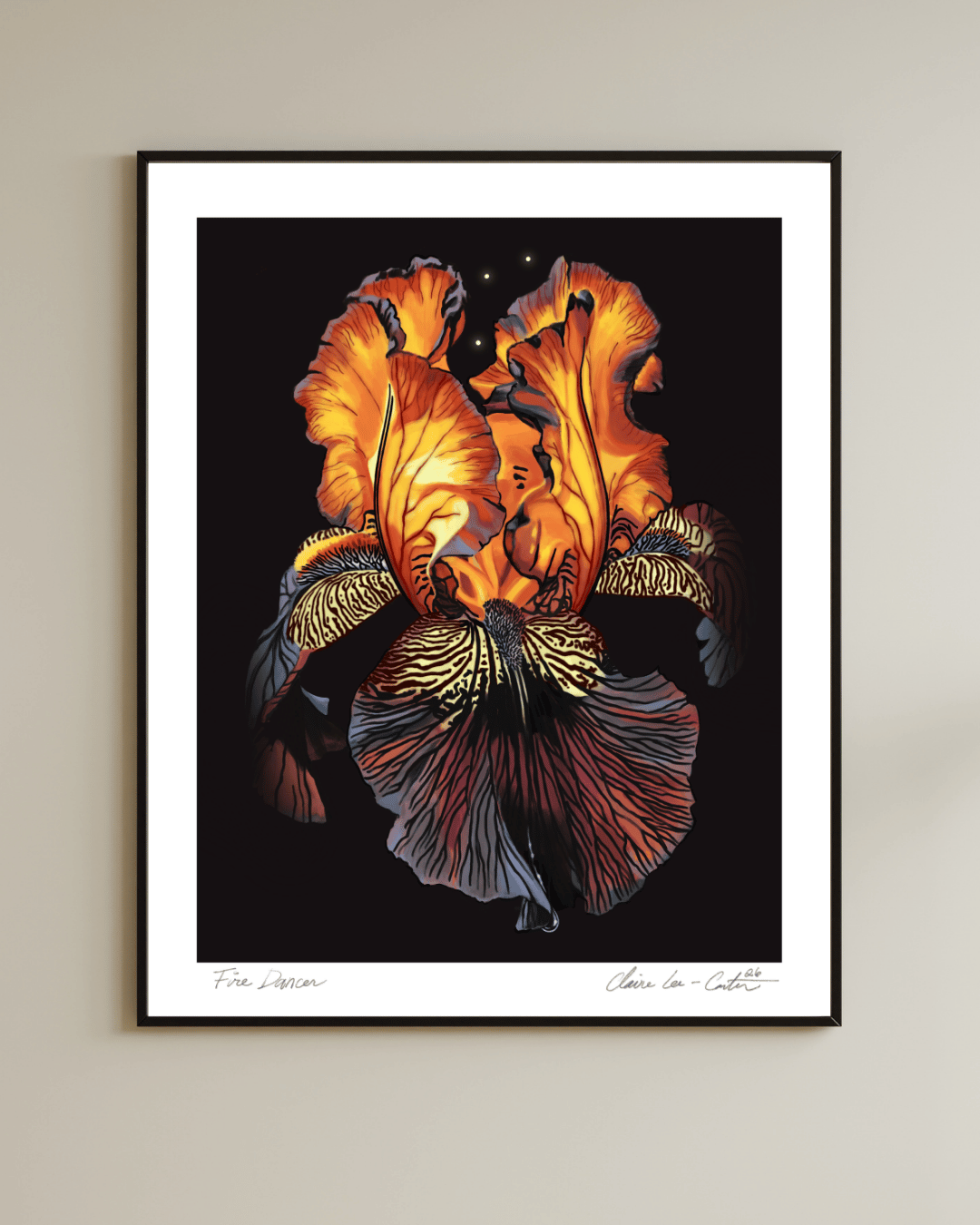 Fine Art Print Framed artwork of a red orange and purple iris flower, that looks like it's glowing from within, on a black background with a white boarder hung on a wall. 