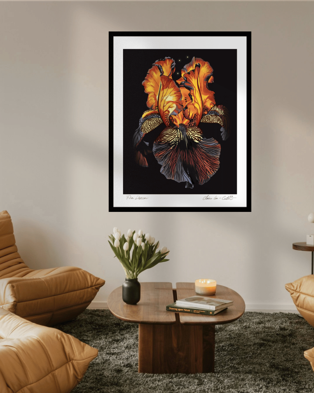 Fine Art Print Framed artwork of a red orange and purple iris flower, that looks like it's glowing from within, on a black background with a white boarder hung on a wall in a trendy living room with hipster chairs and vase of white tulips on a table. 