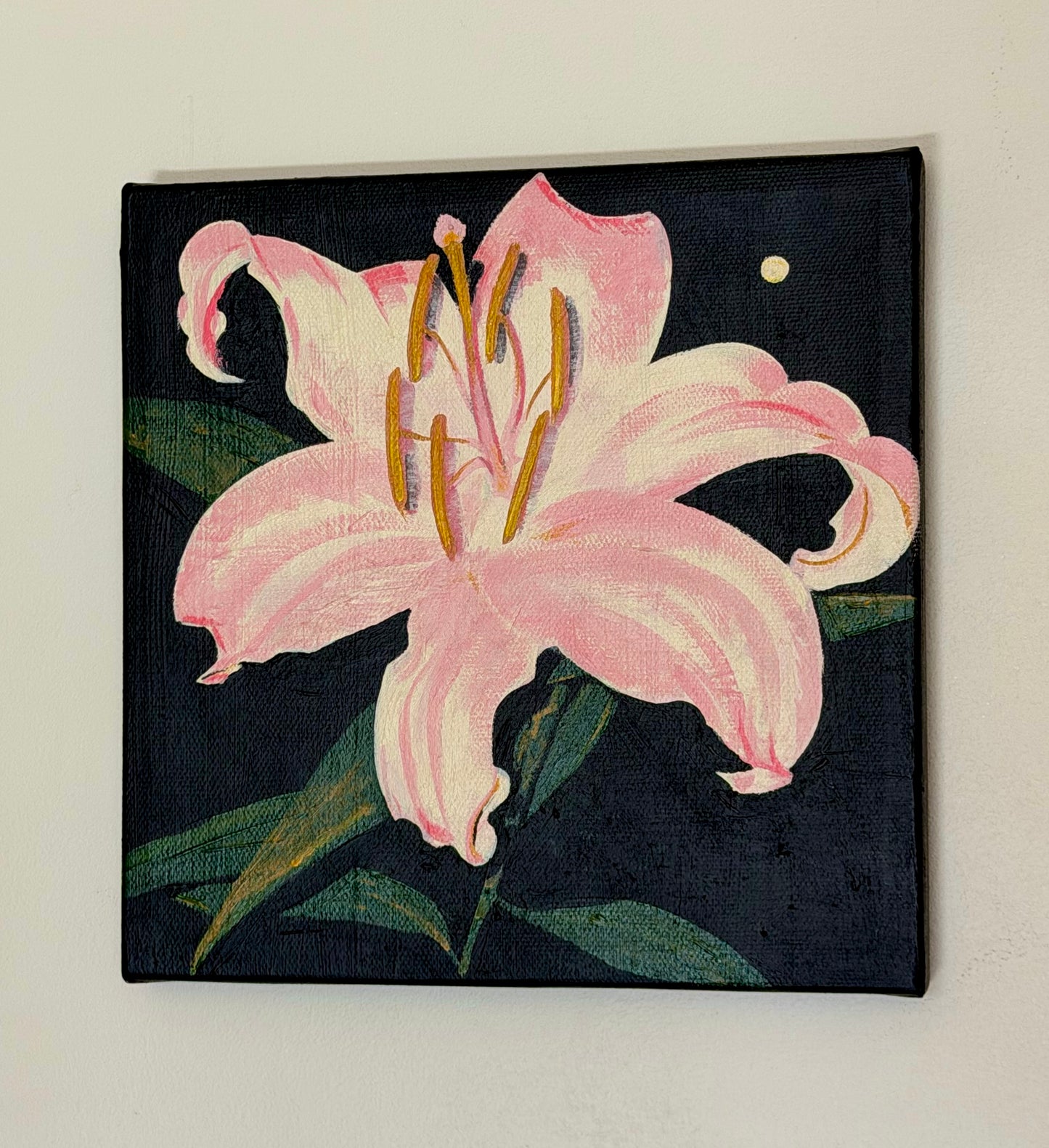 Midnight Lily