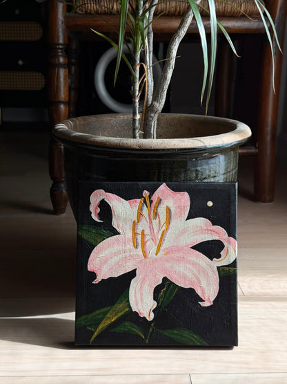 Midnight Lily