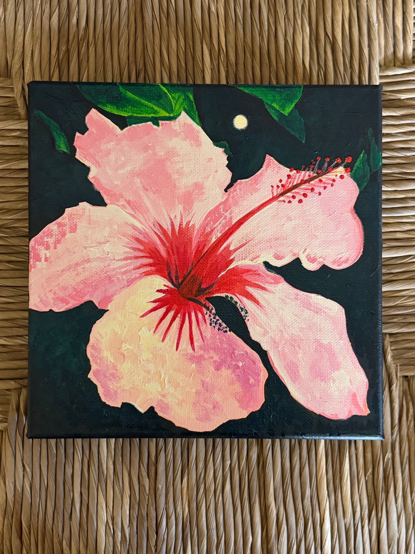 Hibiscus Under the Moonlight