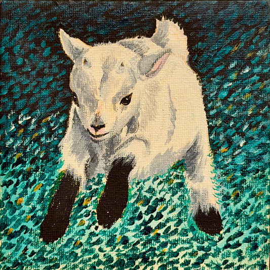 Jumping Goat
