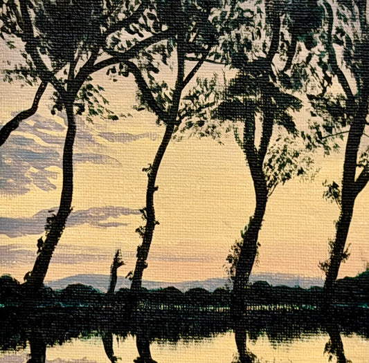By the River Bank