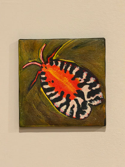 Moth