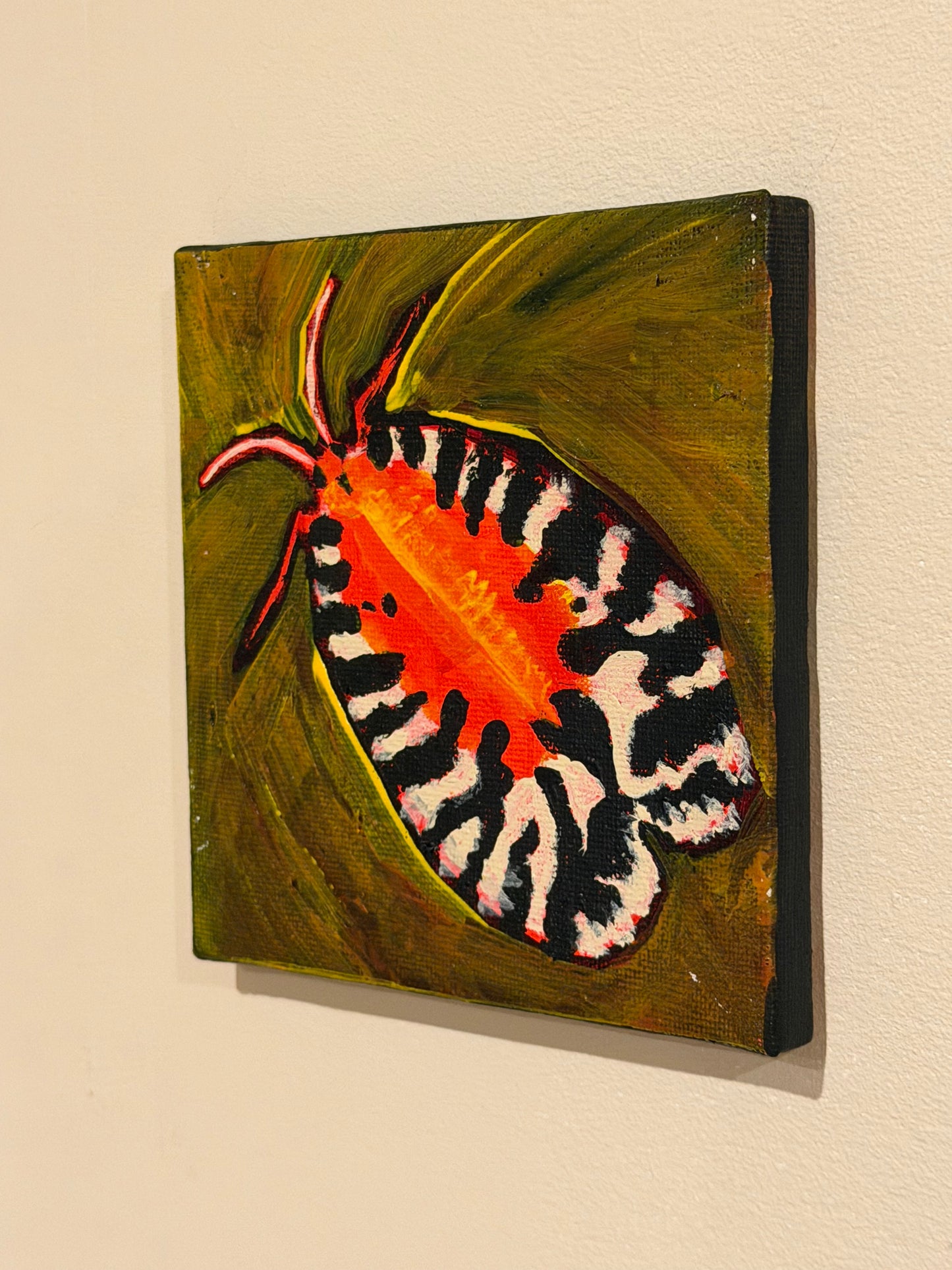Moth
