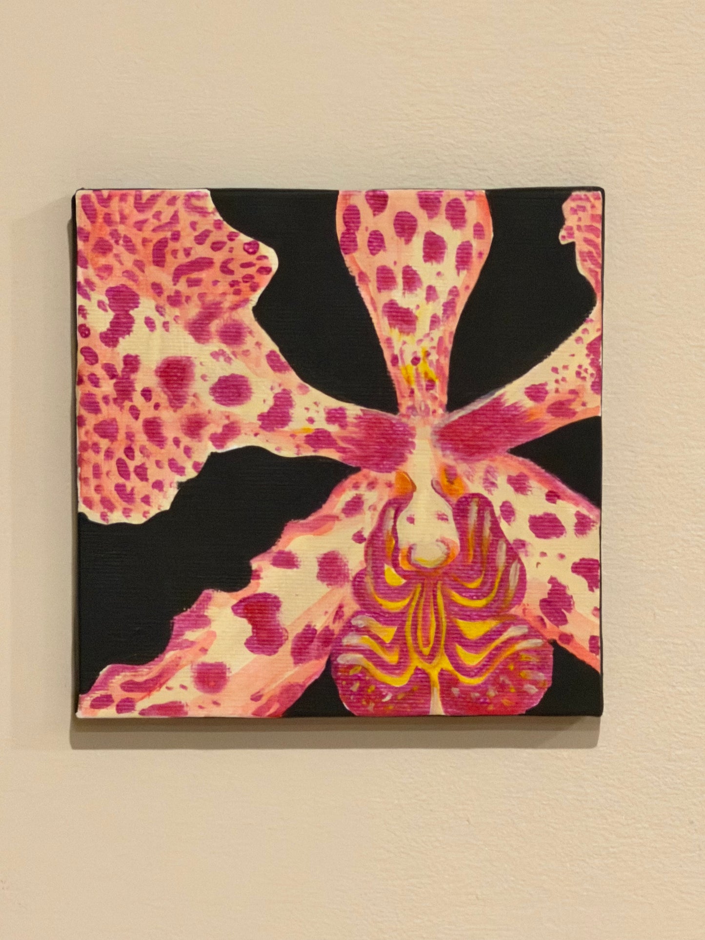 Orchid Mini