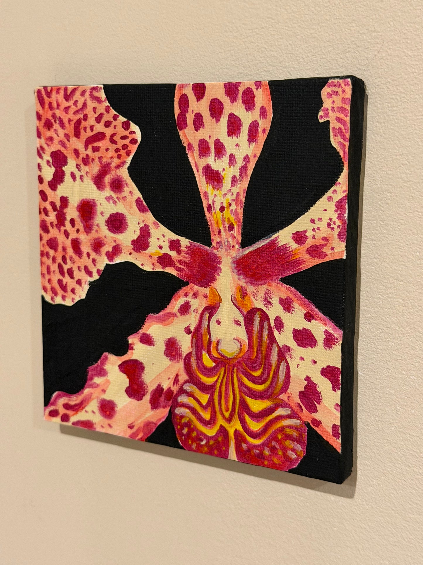 Orchid Mini