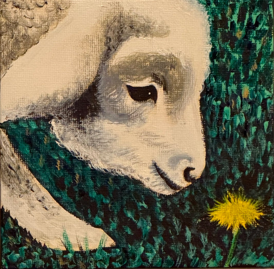 Baby Lamb