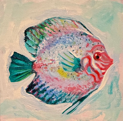Rainbow Fish