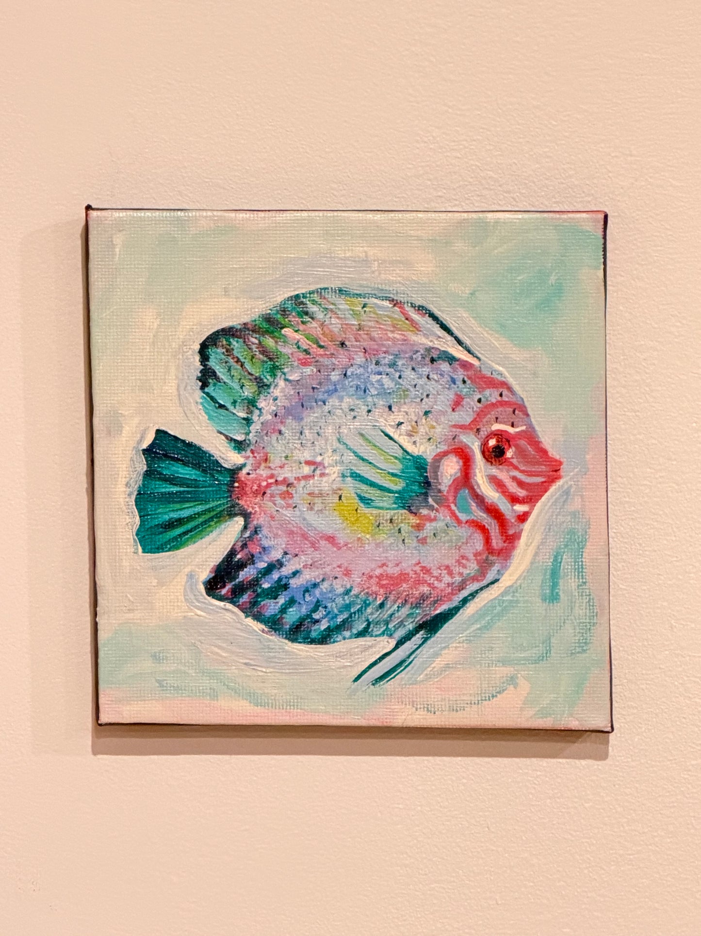 Rainbow Fish