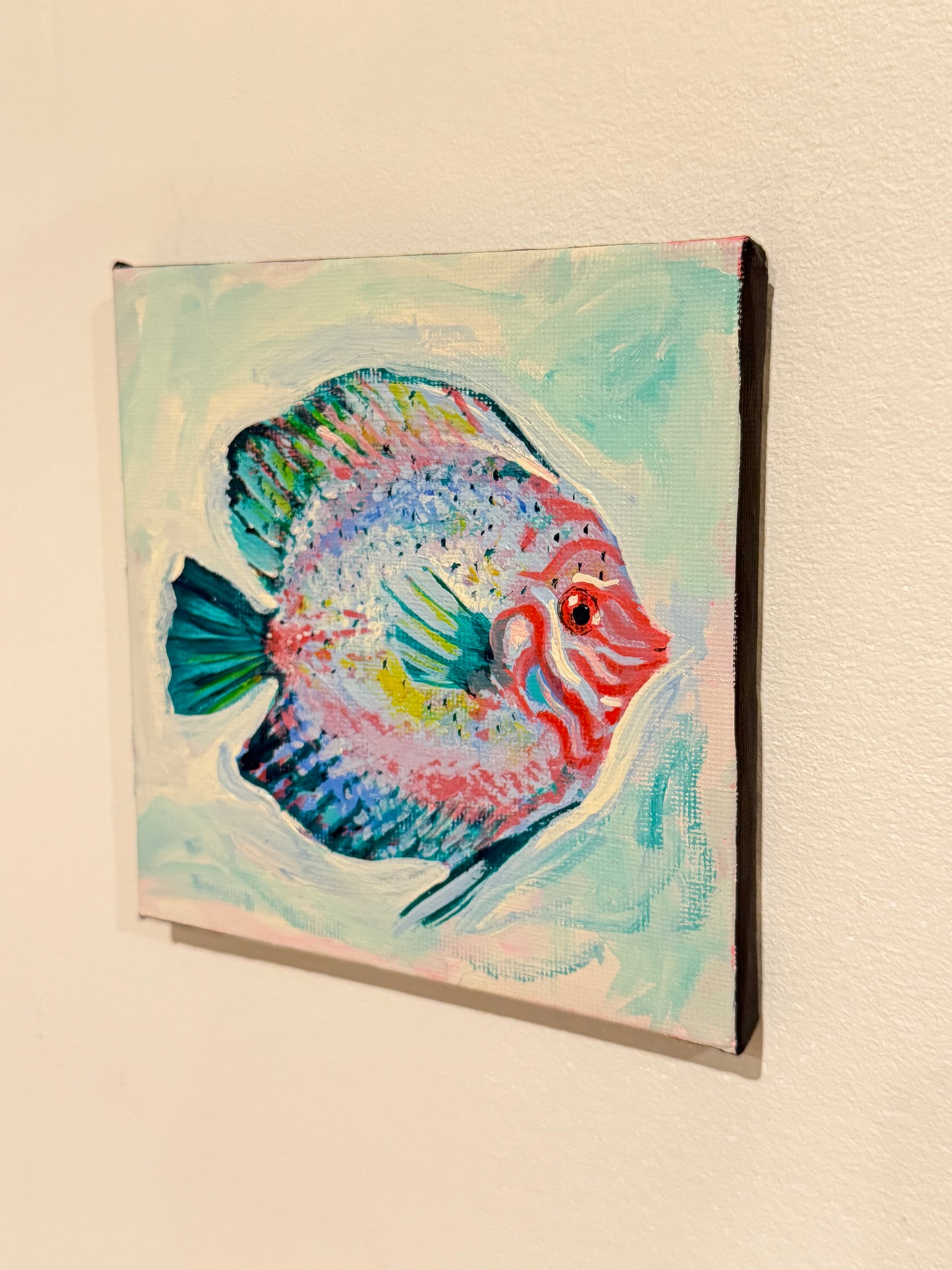 Rainbow Fish