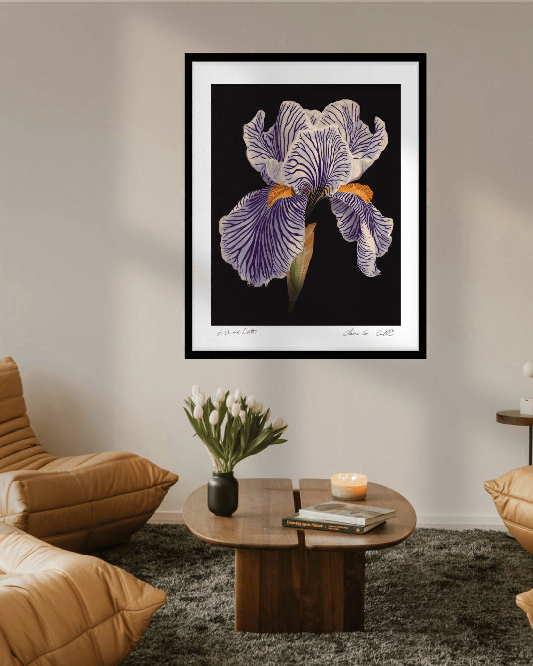 Fine Art Print Framed artwork of a white iris flower on a black background with a white boarder hung on a wall in a trendy living room with hipster chairs and vase of white tulips on a table. 