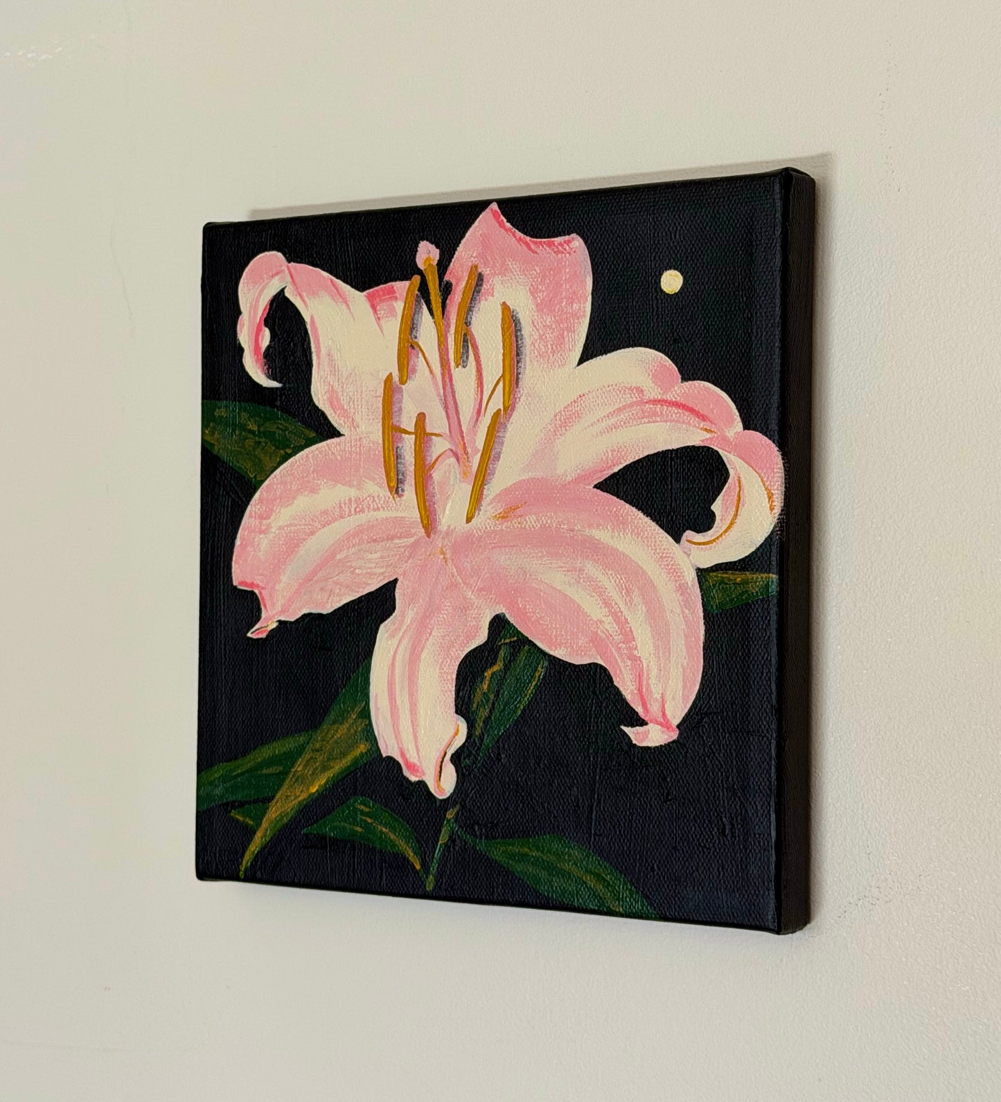 Midnight Lily
